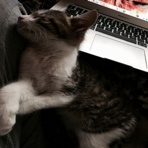 ดาวน์โหลดและฟังเพลง 心跳的证明 พร้อมเนื้อเพลงจาก Baozhai Mezhong