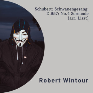 Franz Seraphicus Peter Schubert的專輯Schubert: Schwanengesang, D.957: No.4 Serenade (arr. Liszt)