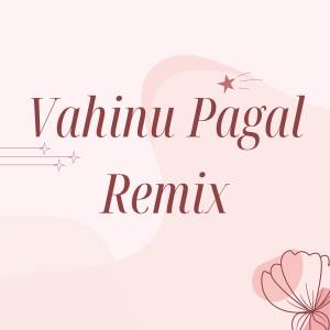 的專輯Vahinu Pagal - Remix
