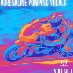 ดาวน์โหลดและฟังเพลง Coming For Gold พร้อมเนื้อเพลงจาก MadeByUs Music