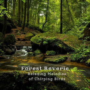 Album Forest Reverie: Relaxing Melodies of Chirping Birds oleh Relaxing Music for Stress Relief