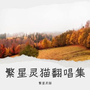 Album 南风 from 李臣宝