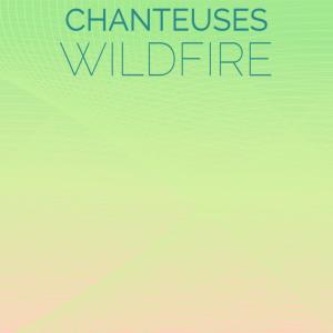 Album Chanteuses Wildfire from Various