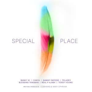 Album Special Place (Calabar Carnival) from Banky W
