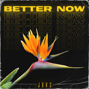ดาวน์โหลดและฟังเพลง Better Now พร้อมเนื้อเพลงจาก JRVS