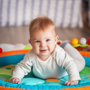 ดาวน์โหลดและฟังเพลง El Reino Animal Del Bebé พร้อมเนื้อเพลงจาก Música Para Bebés Felices