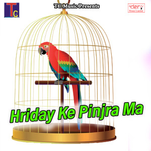 Listen to Maya Ma Ful song with lyrics from N K Dilwale