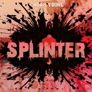 Album Splinter from Noah Young