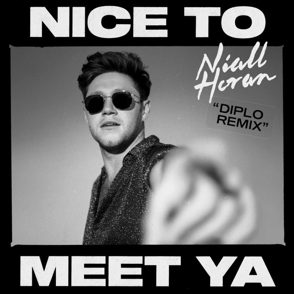 Nice To Meet Ya (Diplo Remix)