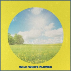 Listen to Wild White Flower song with lyrics from Pachuly & Friends