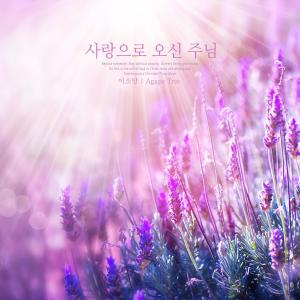 Listen to Lord of love song with lyrics from Lee Somang