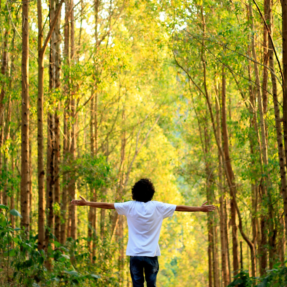 Nature's Everlasting Harmonic Journey in Despair's Abyss