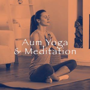 Wellness的专辑Aum Yoga & Meditation