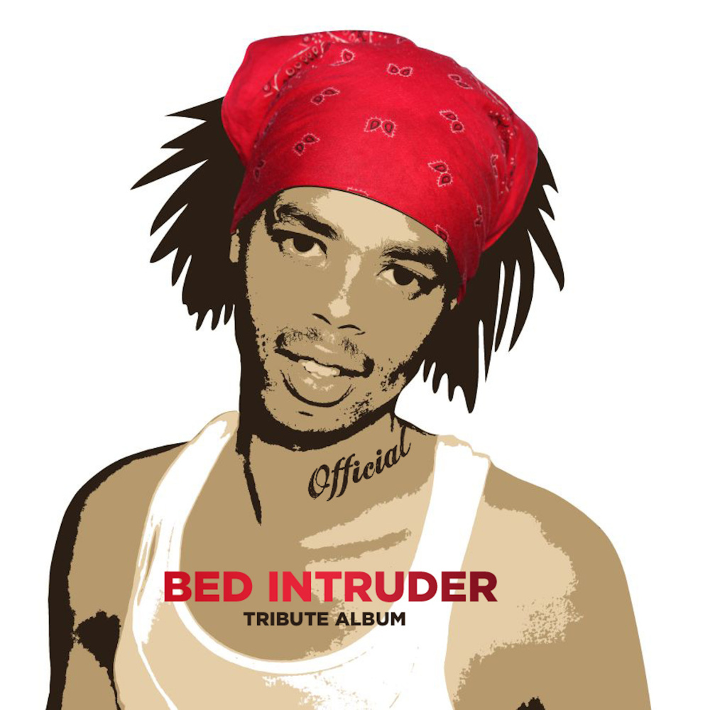 Bed Intruder Song