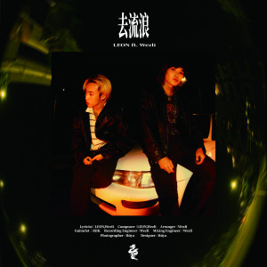 Album 去流浪 from 高隆华