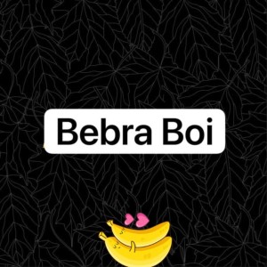 Album Bebra Boi from 