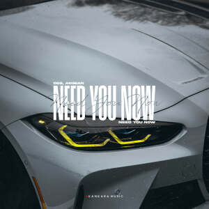 Album Need You Now from D&S