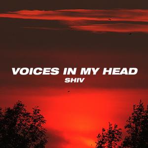收聽Shiv的Voices In My Head歌詞歌曲