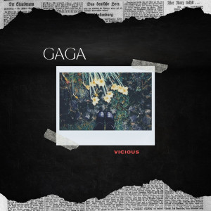 Listen to Gaga (Explicit) song with lyrics from Vicious