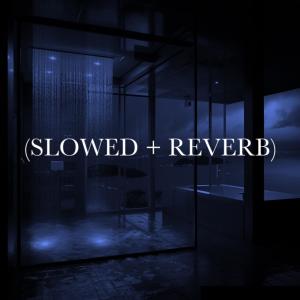 อัลบัม Dark Skies (Slowed + Reverb) (feat. Yvng Ssam) ศิลปิน D4RK R4IN