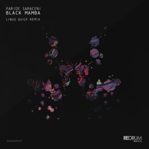 收聽Paride Saraceni的Black Mamba (Linus Quick Remix)歌詞歌曲