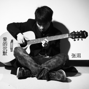 Album 爱的沉默 oleh 张洱
