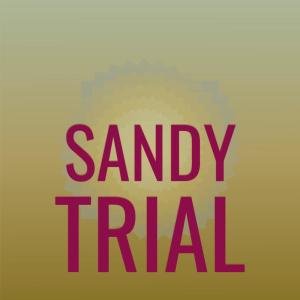 Various Artists的專輯Sandy Trial