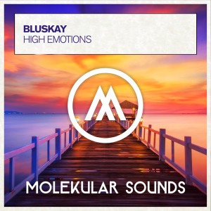Dengarkan lagu High Emotions (Extended Mix) nyanyian BluSkay dengan lirik