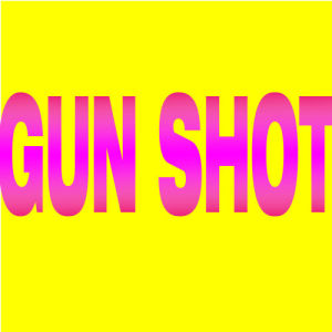 ดาวน์โหลดและฟังเพลง Gun Shot (Radio Edit) พร้อมเนื้อเพลงจาก Diamonds