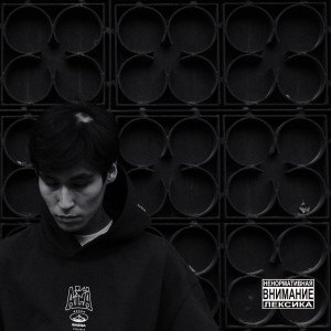Album Залысина (Explicit) from не придумал