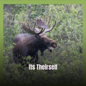 Listen to Its Theirself song with lyrics from Cedy
