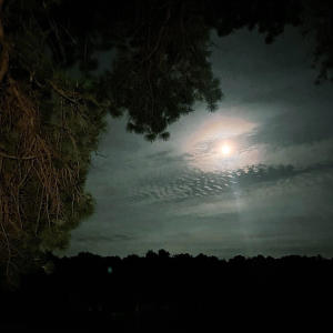 ดาวน์โหลดและฟังเพลง Moon (feat. jen) (Explicit) พร้อมเนื้อเพลงจาก bas.leoo