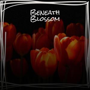 Album Beneath Blossom from Various