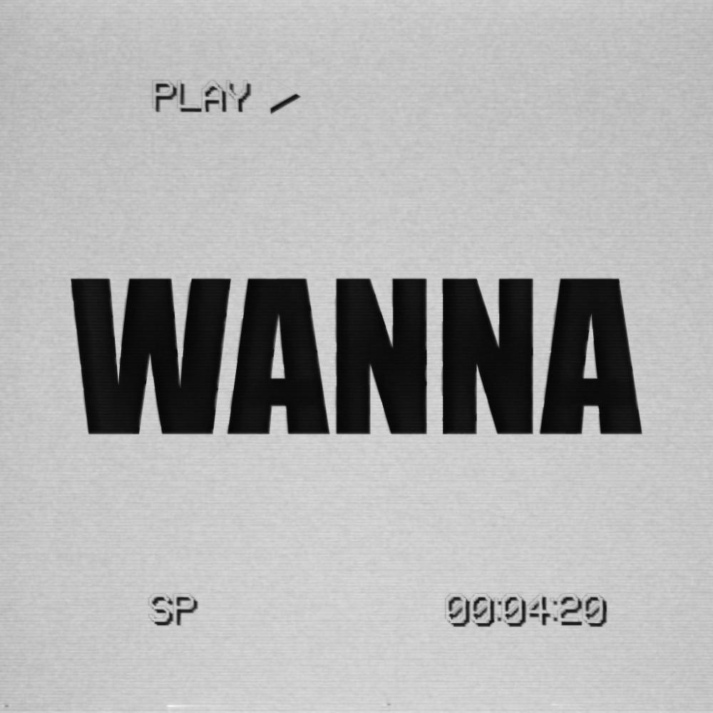 WANNA (feat. palpa)