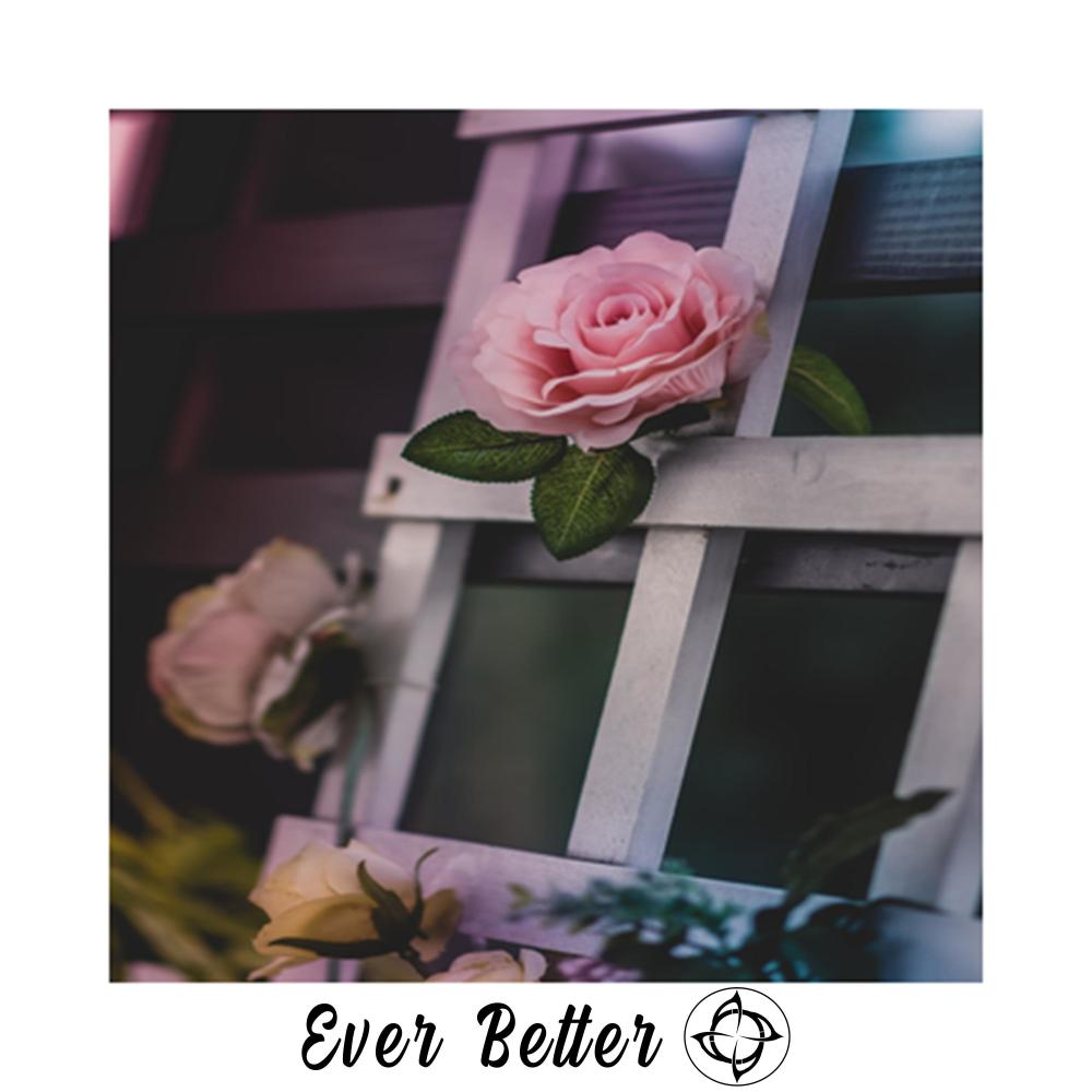 Ever Better 