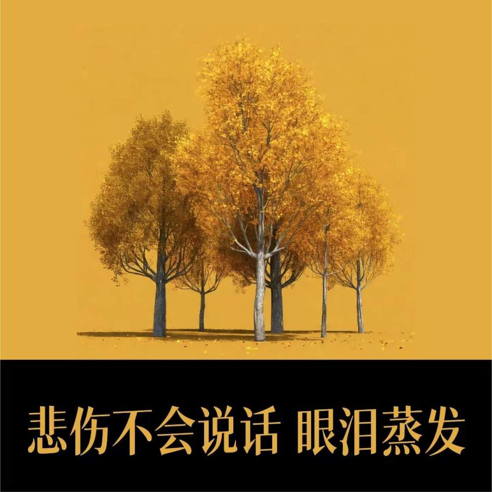 悲伤不会说话 眼泪蒸发