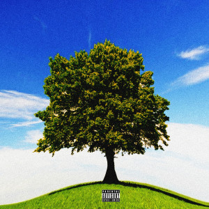 Album Abundance Plenty (Explicit) from Akeem