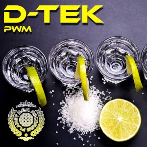 Dtek的专辑PWM