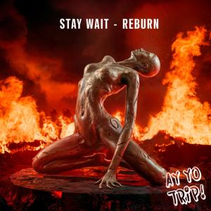 Stay Wait的專輯Reburn