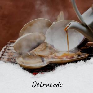 ดาวน์โหลดและฟังเพลง Brief Sentence พร้อมเนื้อเพลงจาก Metin Weon