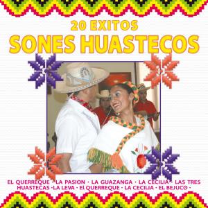 Listen to La Guazanga song with lyrics from Trio Recuerdo a Hidalgo