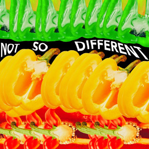 ดาวน์โหลดและฟังเพลง Not So Different พร้อมเนื้อเพลงจาก AI