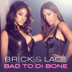 ดาวน์โหลดและฟังเพลง Bad To Di Bone (Album Version) พร้อมเนื้อเพลงจาก Brick & Lace