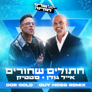ישראל בידור的專輯חתולים שחורים (Dor Gold & Guy Hoss Remix)