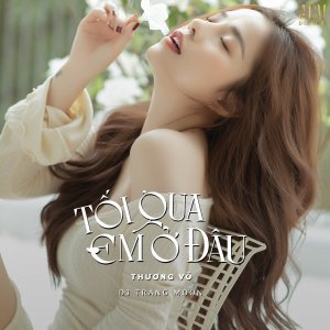 Album Tối Qua Em Ở Đâu (DJ Trang Moon) from Thương Võ