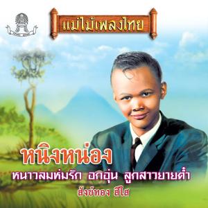Listen to หนาวลมห่มรัก song with lyrics from สังข์ทอง สีใส