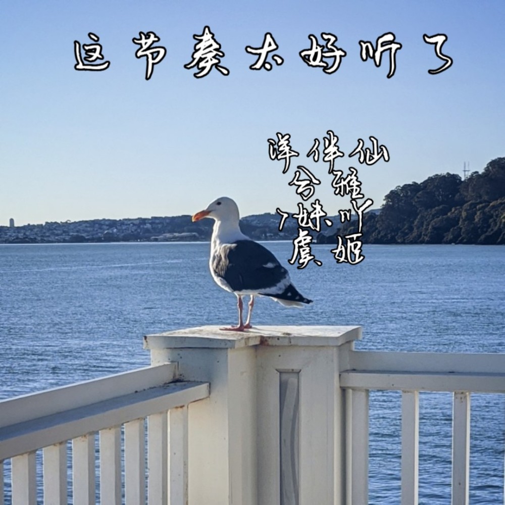 【酒吧舞曲】慢摇精髓