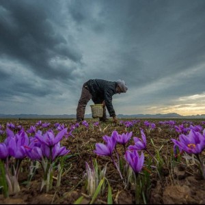 收聽5ha5hu的törbāt (feat. Hamed Behdad)歌詞歌曲