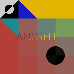 Various Artists的專輯Anight