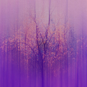 Dengarkan Sharing Kindness lagu dari Hollie Kenniff dengan lirik